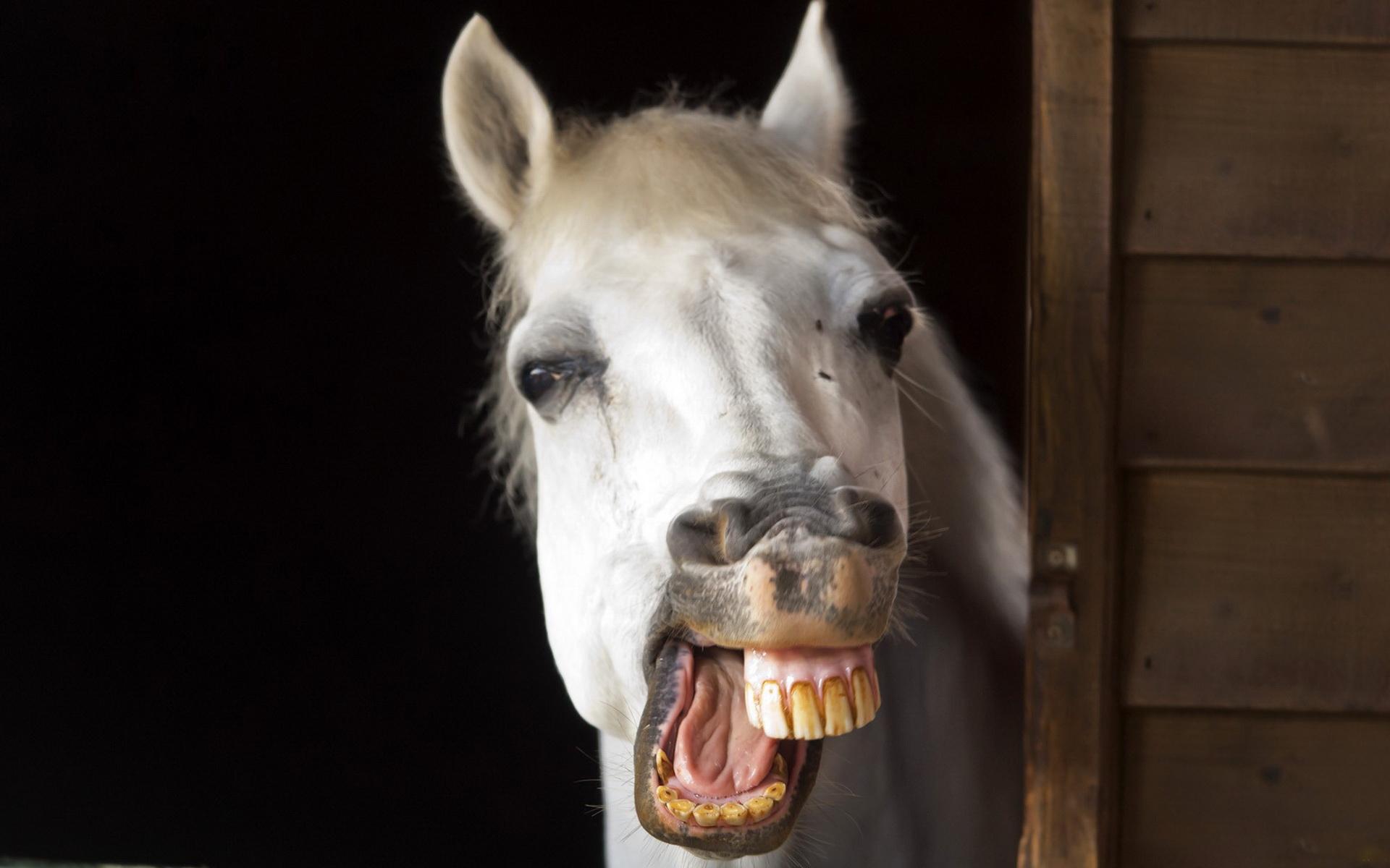 Happy Birthday Sarah Jessica Parker! She has won a lot of awards for her acting, but never won the Triple Crown. 