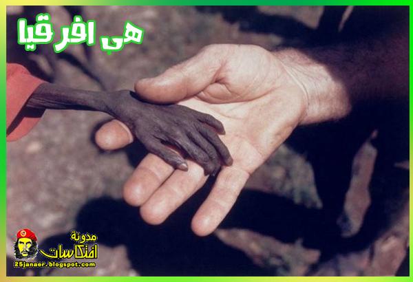 رابط دائم للصورة المُضمّنة