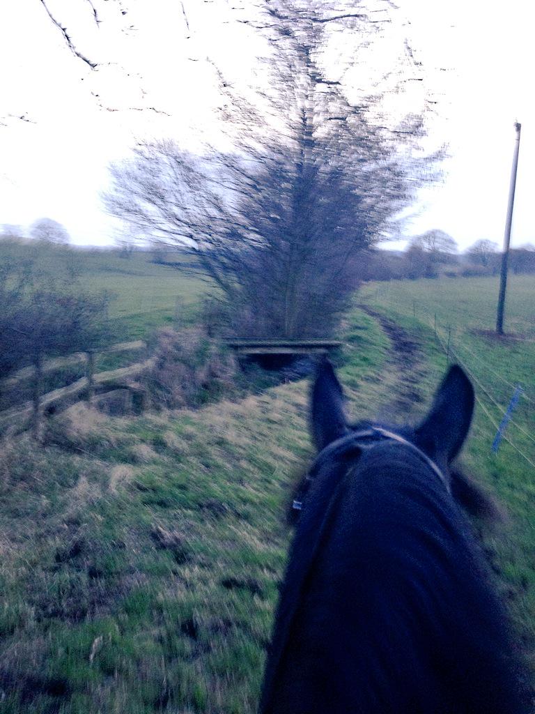 sarahforrest31's tweet photo. Excited that I managed a twilight power hack after work! #farmride #hacking http://t.co/TM1u0Vheiw