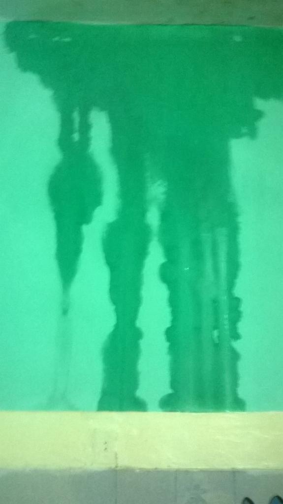 Enlace permanente de imagen incrustada