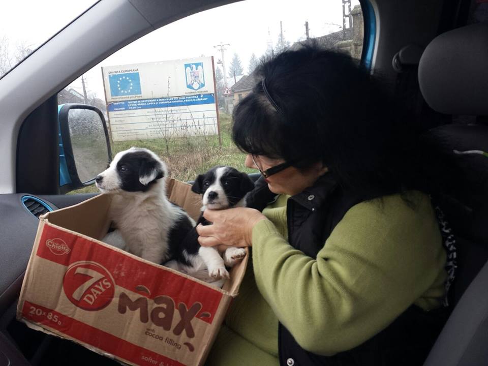 APAMSanctuary's tweet photo. http://t.co/BtLq1TZjgH http://t.co/vhFVnex2uc