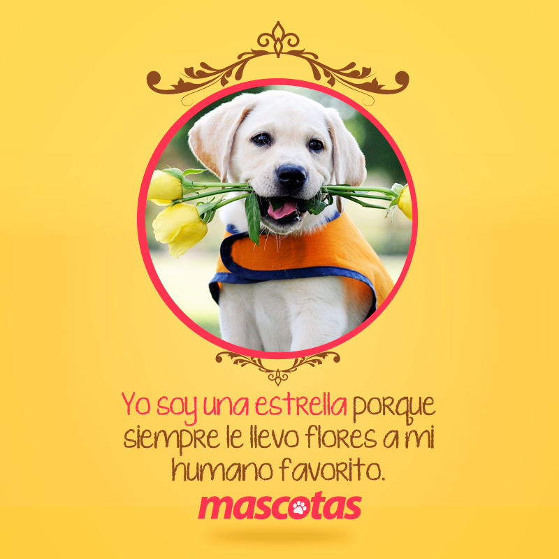 MascotasET's tweet photo. http://t.co/O0YAOAD7FF http://t.co/SkdXo6p7aQ