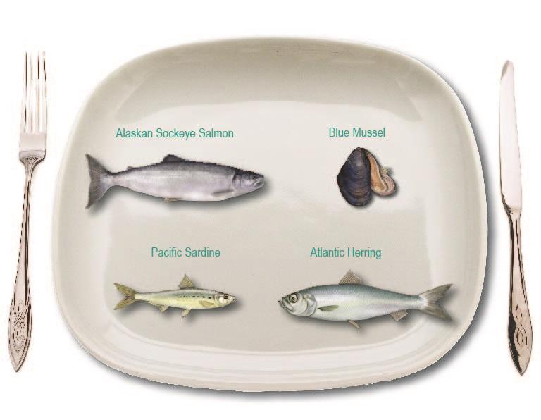 NOAAFisheries's tweet photo. March is #NationalNutritionMonth—Celebrate w/ @NOAAFisheries &amp; get sustainable #seafood info: http://t.co/j5Uff7OwZd http://t.co/9emAOzbDu8