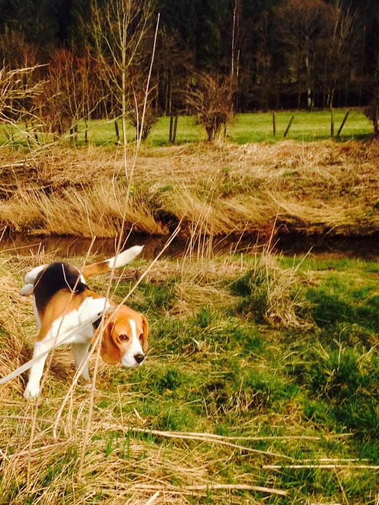 I call this field ballet.