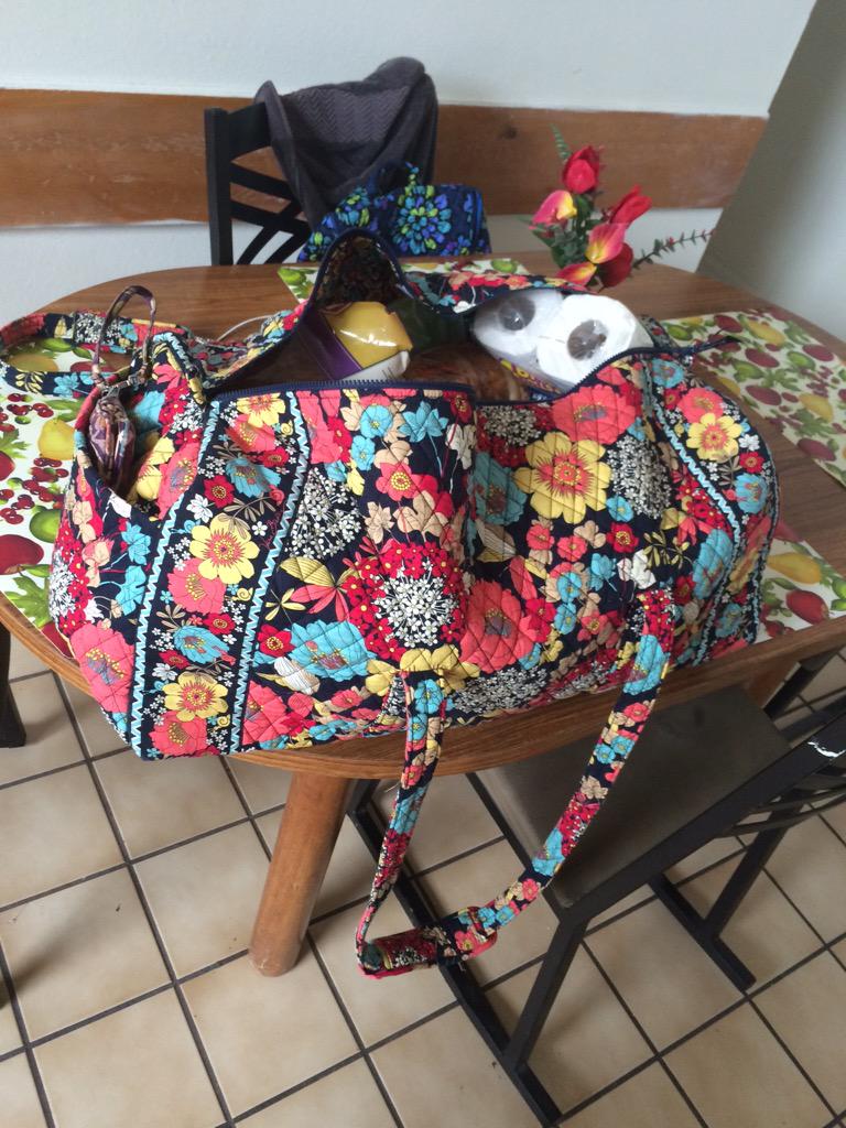 nat_nieves_'s tweet photo. I new this XL duffel would come in handy one day. #ThirdFloorProbs. #YayGroceries http://t.co/0Mm4Sgt2Iq