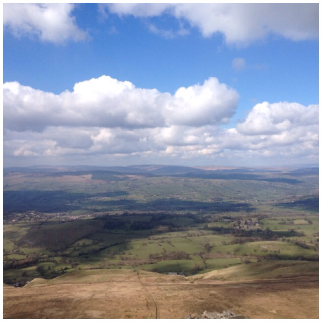 david moss tweet media