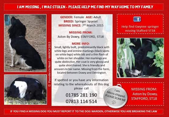 Poundies In Need tweet media