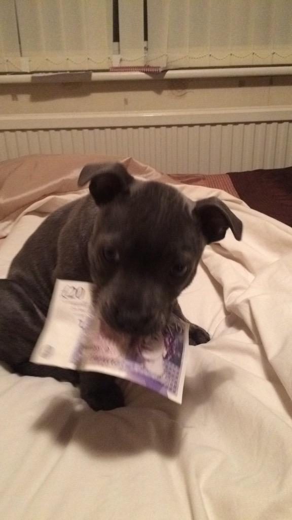 Jxxflex's tweet photo. When Bae takes a £20.. Nooooo... Don't ...... Give it back .... http://t.co/FZFcPkbgdH