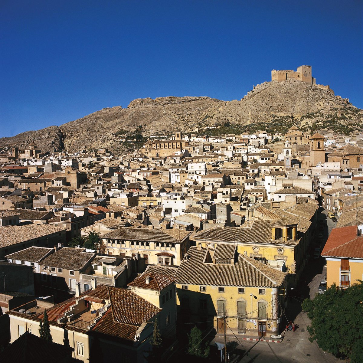 31MAR. Vive la Noche de los Tambores en #Mula, una Fiesta d Interés Turístico Nacional
buff.ly/1CgItaI
#murcia