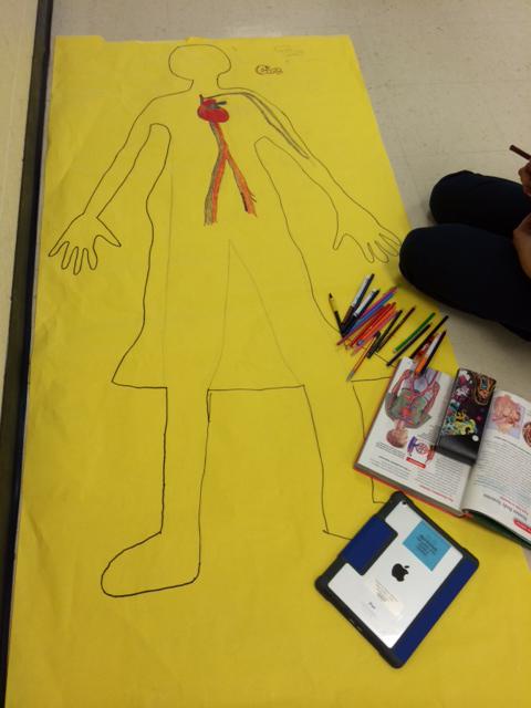 Students draw and label body systems for science <a href="/_EDKES/">EDKES</a> #rssaig