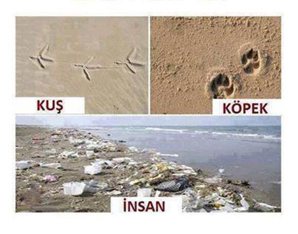 1 Cam,Şişe Doğada4000 Yıl, Plastik1000 Yıl, Sakız5 Yıl, Bira Kutusu10-100 Yıl, Sigara Filtresi 2 Yıl Süreyle yok olmz