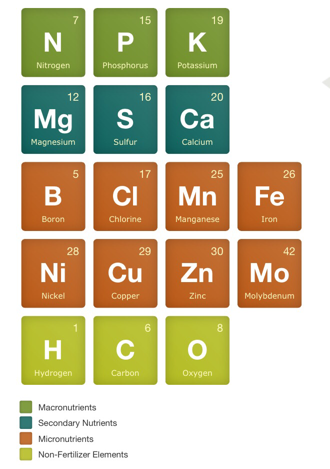 RT <a href="/IFDCTraining/">IFDC Training (ARCHIVED)</a>: Check it out pedagogical "Periodic Table" of crop nutrients  bit.ly/1CPl5lj <a href="/Crop_Nutrition/">CropNutrition</a>