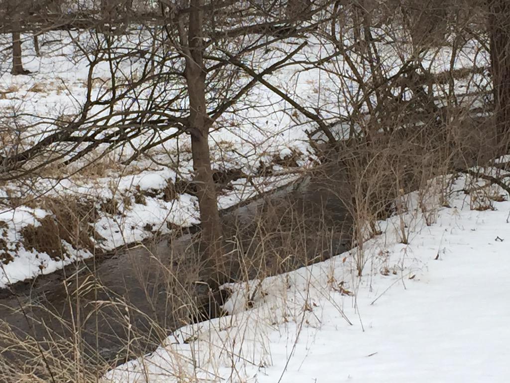 My afternoon devotional spot.#lovetheoutdoors #freshair