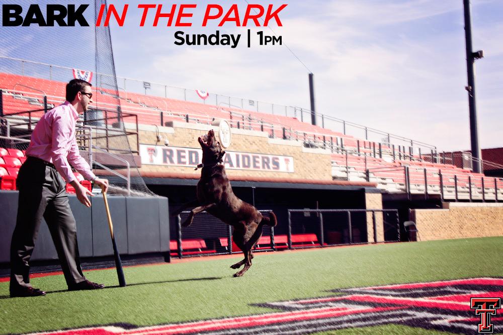 Jake_Jimenez's tweet image. Come out and support your Red Raider Men's Baseball team this Sunday! #BarkInThePark #BringYourPups @Delgs