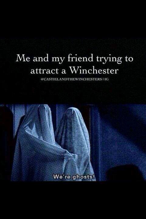 DanielleIllg's tweet photo. @dellam86 Do you think they would bring @mishacollins with them?? #Supernatural http://t.co/BhUQbv3neV