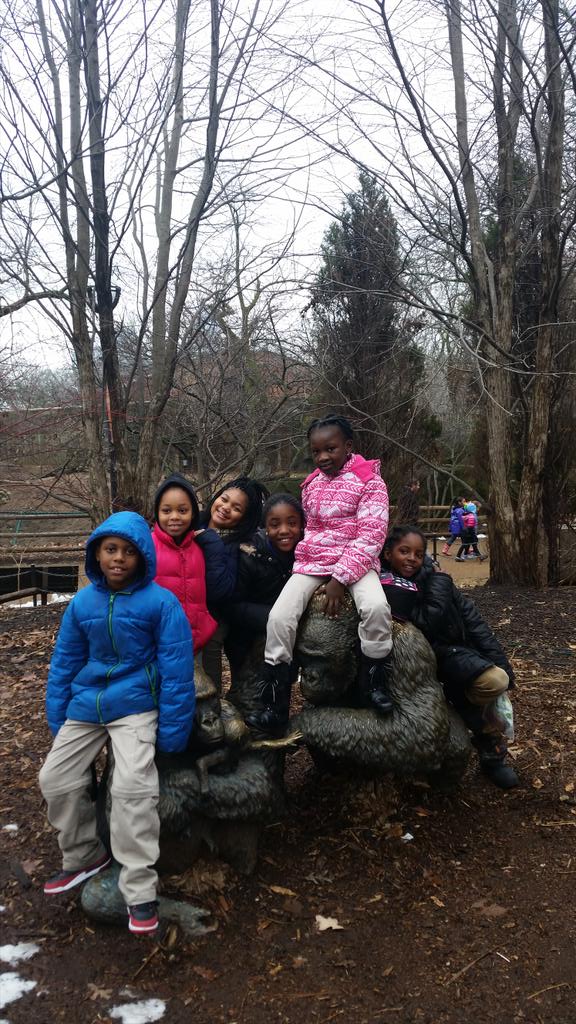 L_mitchell403's tweet photo. We met baby Bella! The #mortonscholars loved her! ♡ @lincolnparkzoo @mortonmath403 @MortonRead402 http://t.co/a6qvPsV5mL