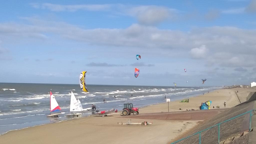 pontje226 tweet picture