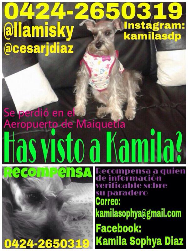 Perrosdlcalle's tweet photo. #78DiasSinKamilaNOHAYPERDÔN @cesarjdiaz @llamizky @rescatamx @RescateAnimalV @rescatesAPRE @notisar1 @AsSuerte http://t.co/yMgJNOhcZ0