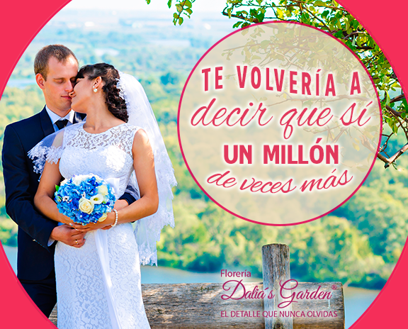 ¿Por qué amas a esa persona especial? Comparte tu linda #historia… facebook.com/dalias.garden #amor