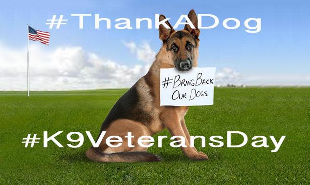 PetRescueHero's tweet photo. #K9VeteransDay is today. Some military dogs are not brought home from war. Left as excess surplus. #BringHomeOurDogs http://t.co/ruKNqktiOA