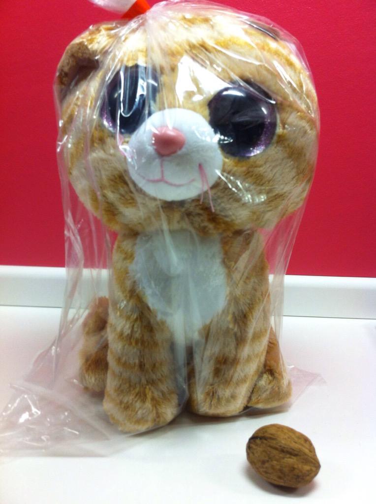 Kepsoleil's tweet photo. http://t.co/IbkSeso9GW