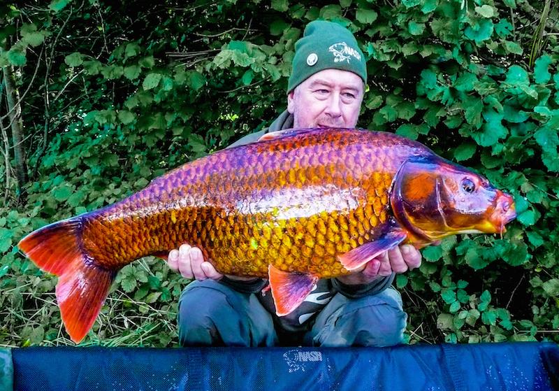 BriggsySteve's tweet image. black and gold :-)