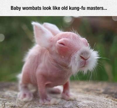 CHANNINGPOSTERS tweet picture