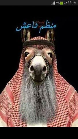 HasnStranger tweet picture