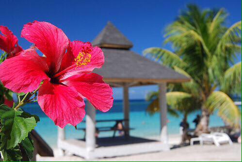 TheNiceEarth's tweet photo. Hawaii is where I want to be 😍🌺🌊 http://t.co/10qPW8Gblo
