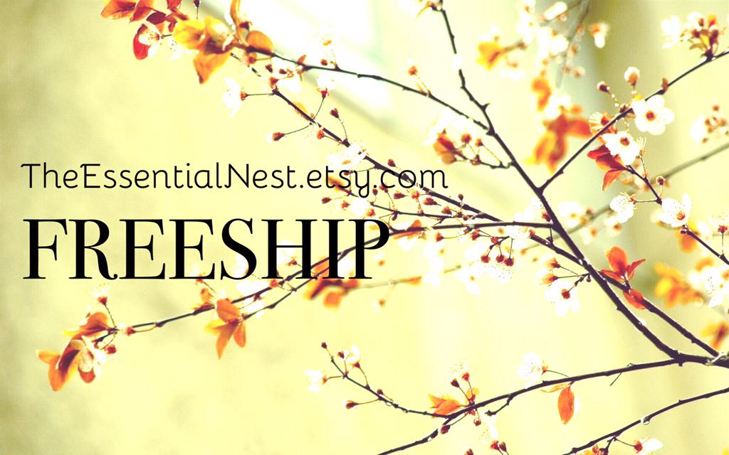 The Essential Nest tweet media