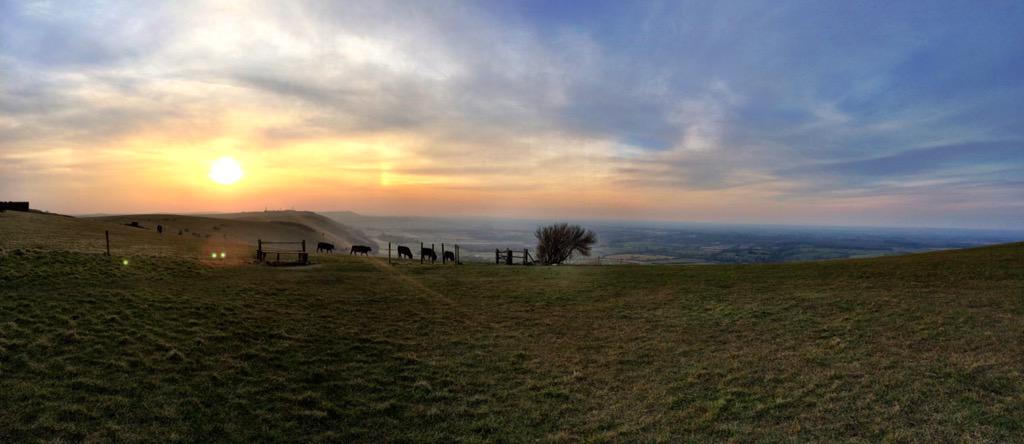RobD_17's tweet photo. Watching the sun go down with my girl👌Happy Friday peeps x http://t.co/ItcQGOvW7r