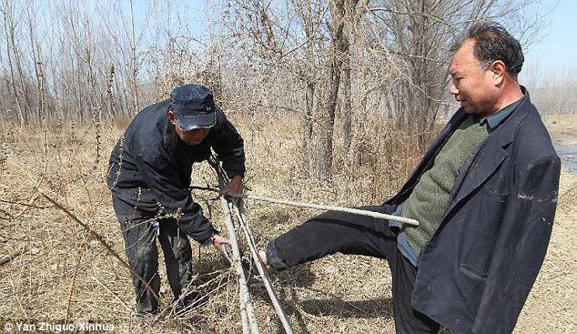 Задержан снайпер террористов, обстреливавший украинских воинов в аэропорту Донецка, - СБУ - Цензор.НЕТ 7510