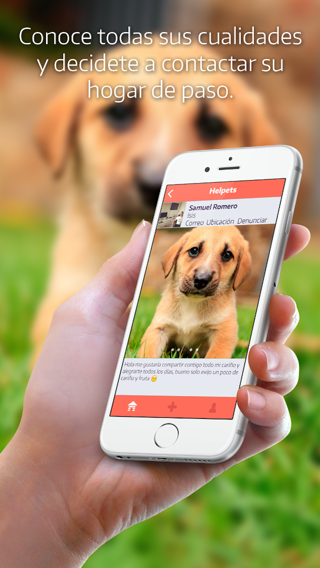 RoomBoxStudio's tweet photo. @AdoptaAmaRockea quieres salvar un gatito o un perrito RT Helpets red social para la adopción de mascotas. http://t.co/H71M5TzsYL