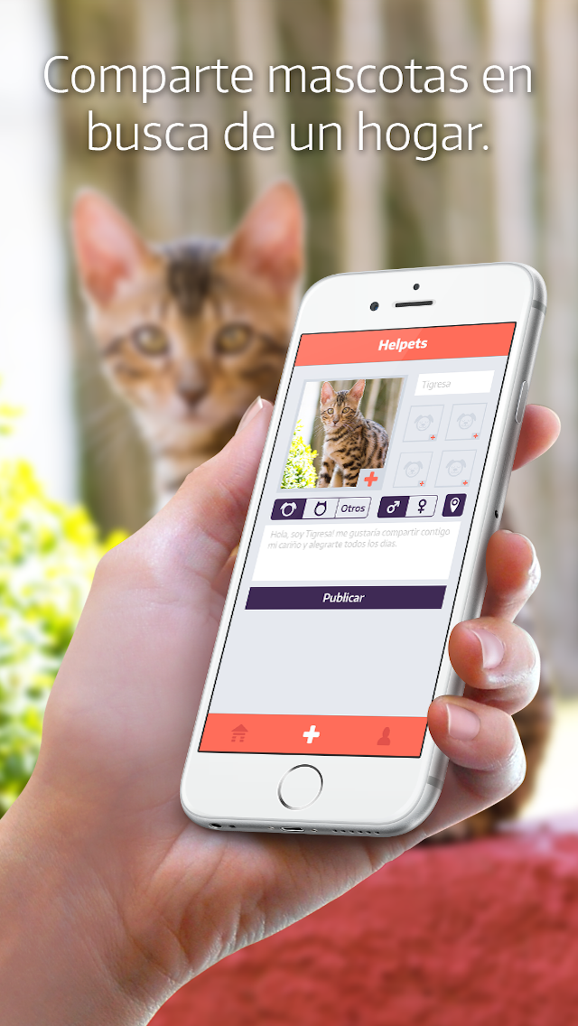 RoomBoxStudio's tweet photo. @AdoptaAmaRockea quieres salvar un gatito o un perrito RT Helpets red social para la adopción de mascotas. http://t.co/H71M5TzsYL