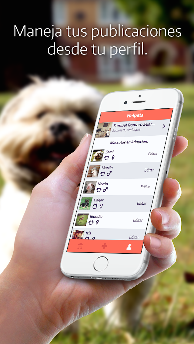 RoomBoxStudio's tweet photo. @AdoptaAmaRockea quieres salvar un gatito o un perrito RT Helpets red social para la adopción de mascotas. http://t.co/H71M5TzsYL