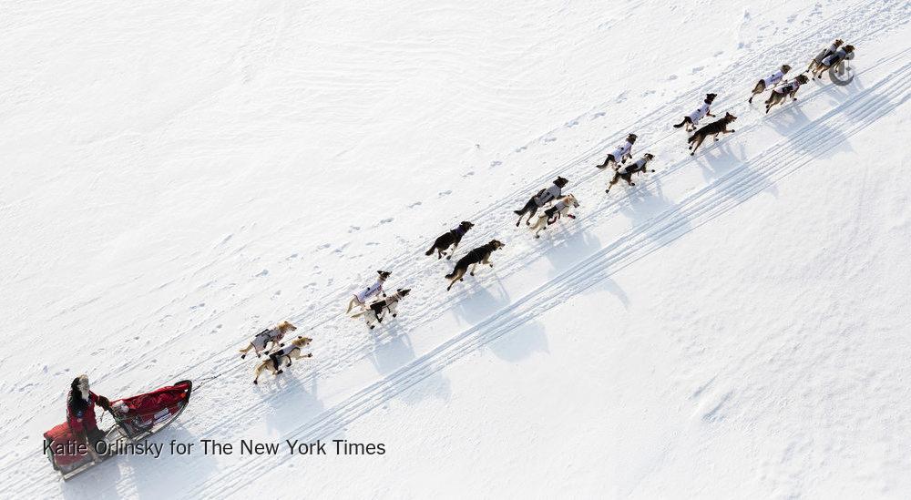 Go Michelle Phillips! <a href="/nytimes/">The New York Times</a>: The women of the Iditarod nyti.ms/1BeQ5Wb