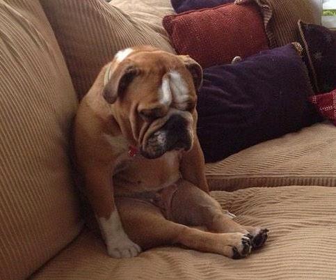 dipsinlips's tweet photo. When I leave the house and forget my can http://t.co/5fWyaRpWAz