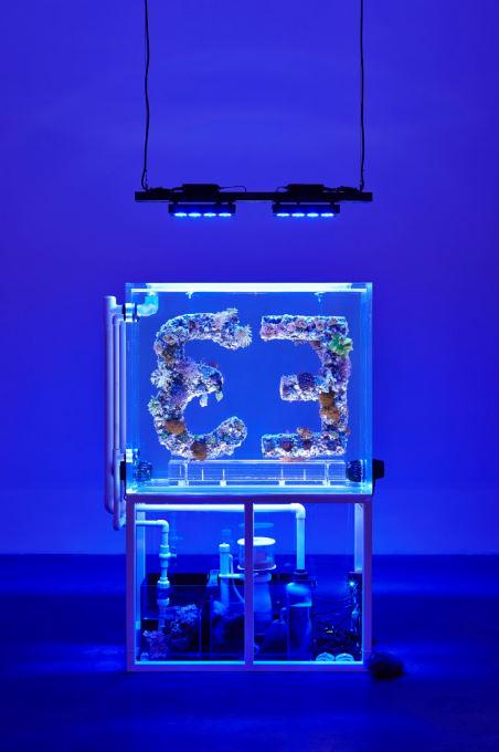 newmuseum's tweet photo. Antoine Catala's work #DistantFeel features a new symbol for empathy: EƎ #SurroundAudience http://t.co/brrgYTdWoK http://t.co/fyEZeV6OFW