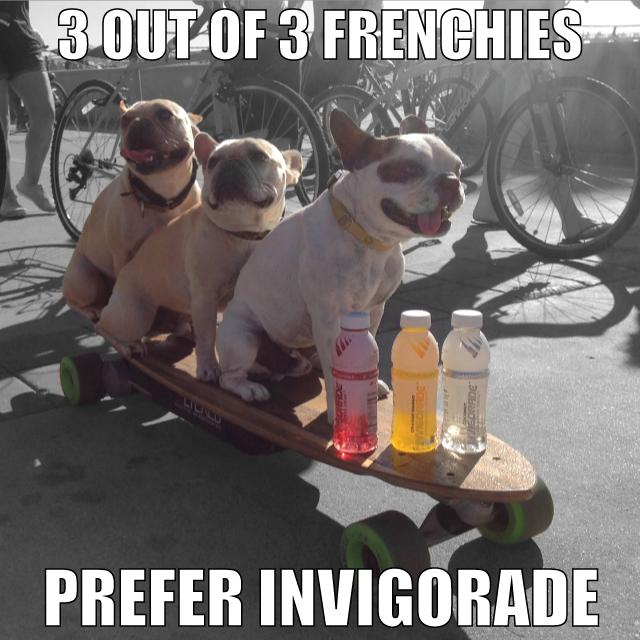 It's tough to disagree with skateboarding #FrenchBulldogs... #KeepItUp #Meme