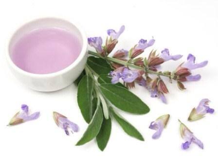 lenahuntco's tweet photo. Painful periods, hot flashes, imbalanced #hormones, kidney problems cured #natural w/ #clarysage #essentialoil http://t.co/CqTIQ4zvMw