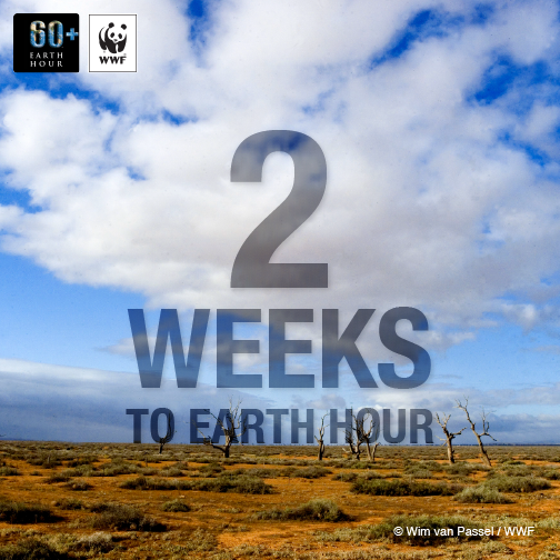 earthhour tweet picture