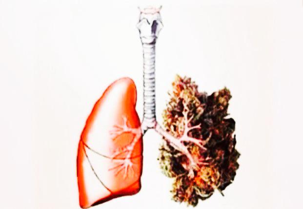 weednsnacks's tweet photo. Mom: "why are you breathing so loudly"

Me: http://t.co/hgmh0vFJn2