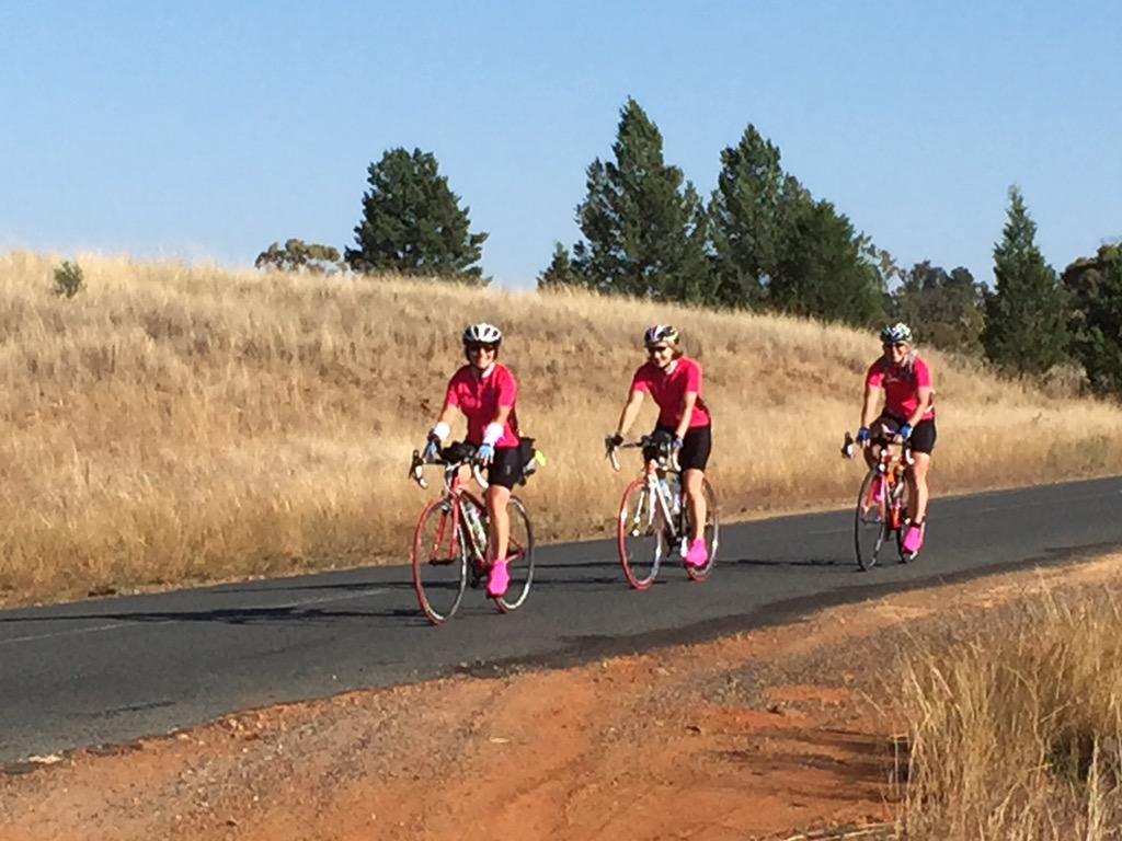 Oakrider's tweet photo. Pink paragons enjoying a tailwind #oppy2015
First all female team since the 1990s - we think !! @AudaxOz http://t.co/bPoARdYJSx
