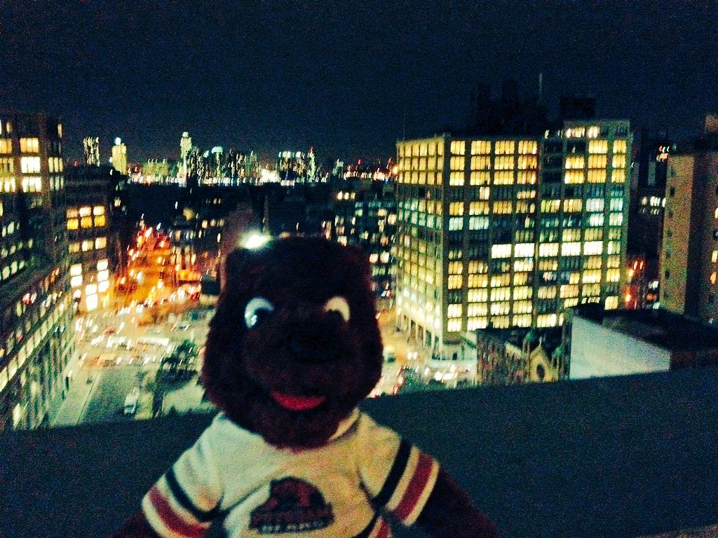 KarenAKennison's tweet photo. #MaxCBear is chillin on the rooftop in #NYC! #SUNYPotsdam #PDAMAdmissions #PDAM http://t.co/gT9G4cllnc