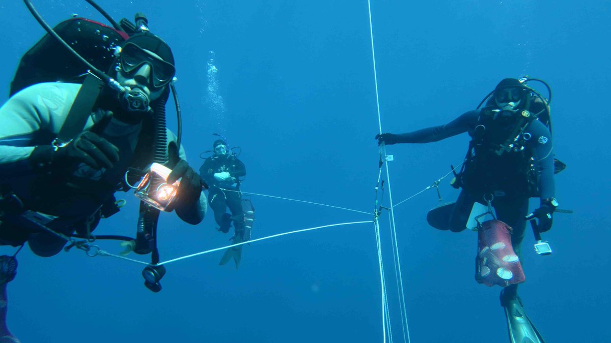 MBARI_News's tweet photo. Diving in the open ocean w/ #MBARI @MontereyAq http://t.co/p9stlQlIPO http://t.co/aZi2aGtTac via @omgirlsvt