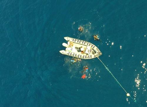 MBARI_News's tweet photo. Blue water divers seen from drone high above sea surface #MBARI @MontereyAq http://t.co/oiVG5ysgj0 http://t.co/8yEOfLq7qQ HT @omgirlsvt