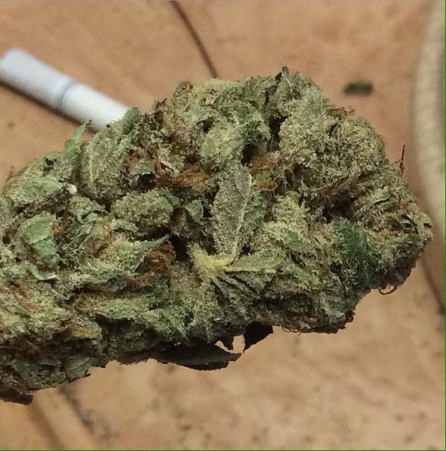 Bitbaked4200x's tweet photo. Los buenos momentoa se pueden ver y tocar. #weed #masweed http://t.co/00B3fI9ExT