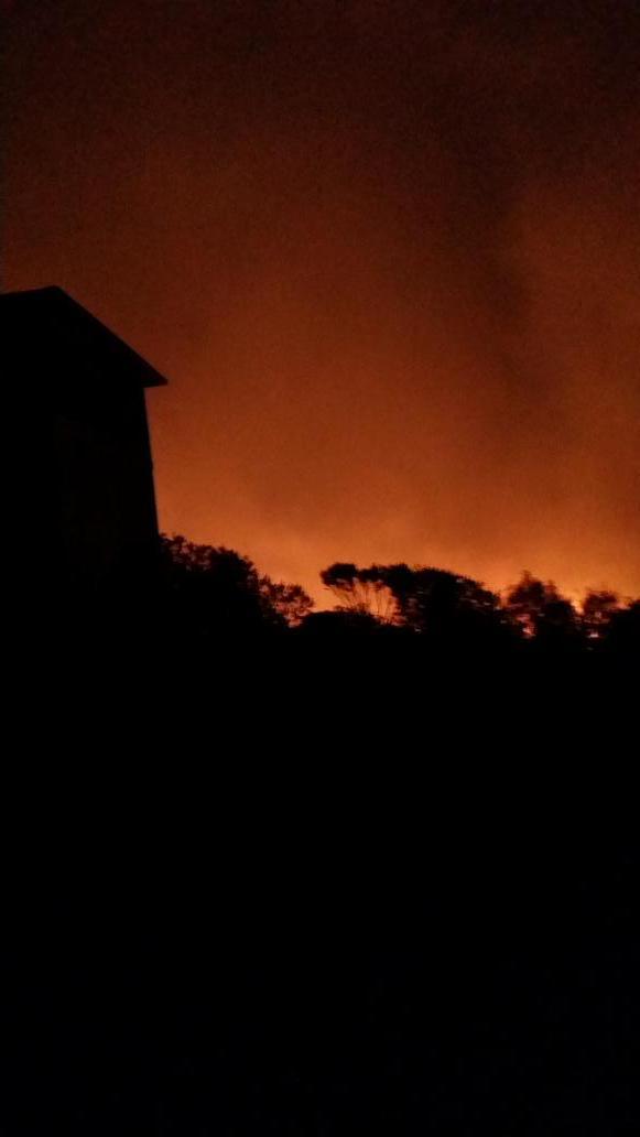 TadeoVistor's tweet photo. @micrisEmy @JanelieSophia @maryg66 @emiliopr @PDGValparaiso gbno incompetente http://t.co/aRUqN0tecn