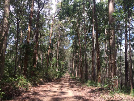 campo1020's tweet photo. Beautiful morning trekking thru the great south east #oxfamtrailwalker http://t.co/jvvKekTPUN