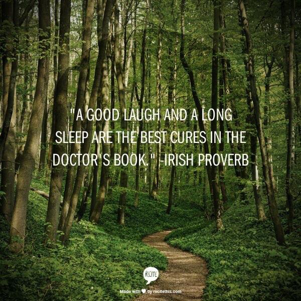 Snooze Director tweet media